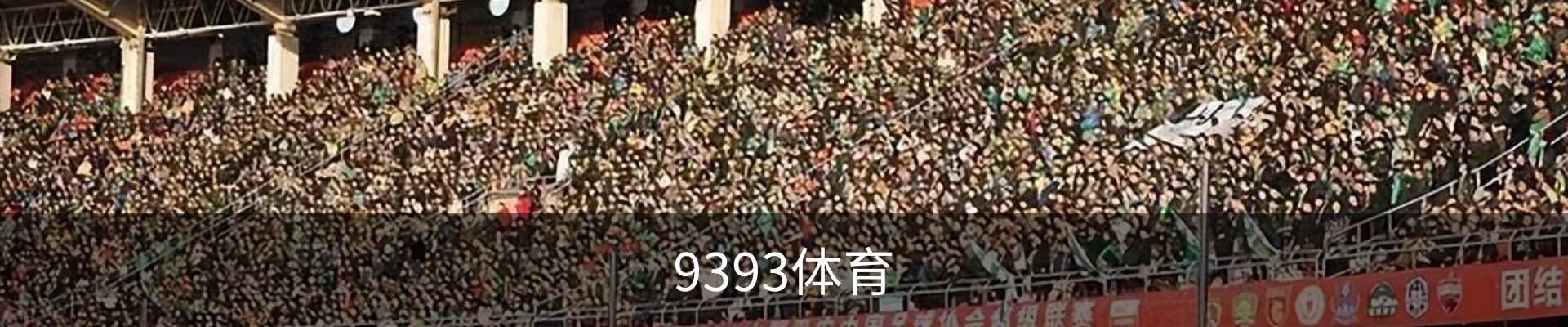 9393体育